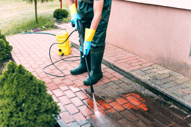 Best Pressure Washing Services Near Me  in Jamestown, ND