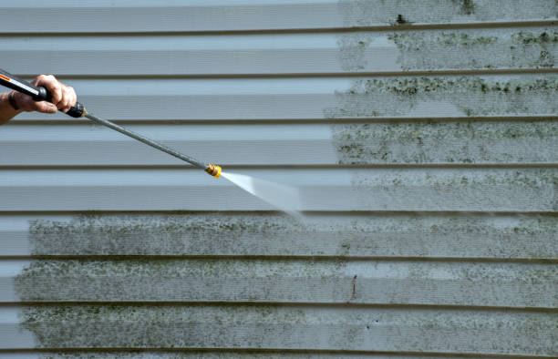 Best Pressure Washing Siding  in Jamestown, ND